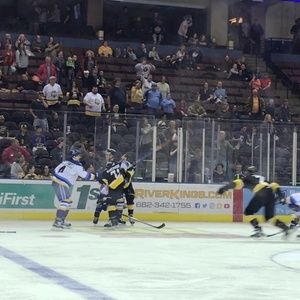 Meet your Posher, Owen